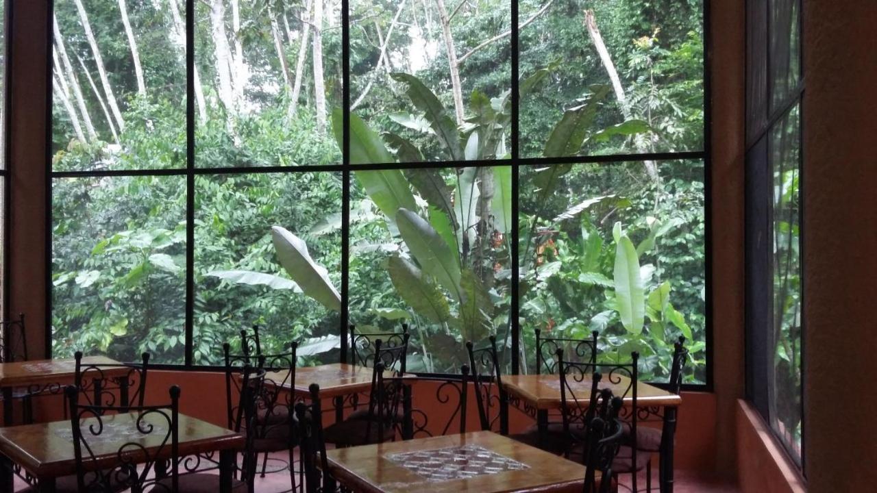Canto De La Selva Jungle Lodge Selva Lacandona Chiapas Galaxia Exterior foto